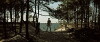 The Vanishing (2011)