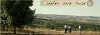 Love Letters from the War (2014)