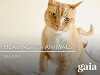 Healing with Animals (2002)