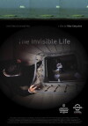 A Vida Invisível (2013)