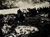 The Heroine from Derna (1912)