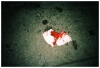 Napkin Blood (2018)