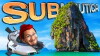 Subnautica (2015)