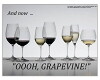 Oooh, Grapevine! (2017)