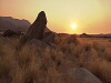 Wildest Africa (2010)