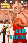 Çam sakizi (1974)