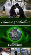 Amiri & Aroha (2011)