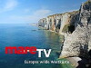 MareTV (2001)