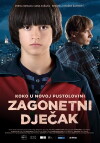 The Mysterious Boy (2013)