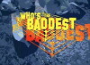 Who's the Baddest (2009)