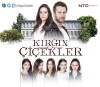 Orphan Flowers (2015)