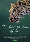 The Secret Creatures of Jao (2009)