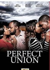 Perfect Union (2014)