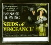 Seeds of Vengeance (1920)