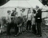 Calamity the Cow (1967)