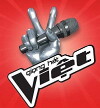The Voice of Vietnam (2012)