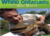 Weird Creatures (2006)