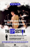 The IP Section (2015)