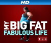 My Big Fat Fabulous Life (2015)