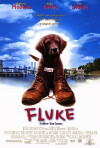 Fluke (1995)