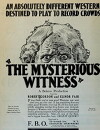 The Mysterious Witness (1923)