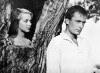 Konnikat (1964)