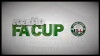 Road to F.A. Cup (2012)