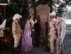 The Boy Who Stole the Elephant (1970)