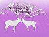 Engaged & Underage (2007)