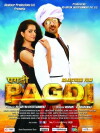 Pagdi (2016)
