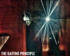 The Gaiting Principle (2016)