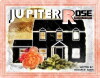 Jupiter Rose (2016)