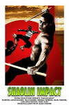 Shaolin Impact (2003)