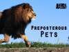 Preposterous Pets (2014)