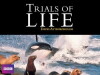 The Trials of Life (1990)