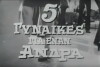 5 gynaikes gia enan andra (1967)