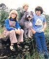 The Bagthorpe Saga (1981)