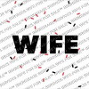 Operation Repo Wife (2018)