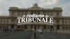 Ci Vediamo in Tribunale (2017)