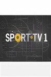 Sport TV (2008)