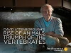 Rise of Animals: Triumph of the Vertebrates (2013)