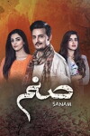 Sanam (2016)