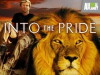 Into the Pride (2009)
