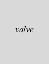 Valve (2017)
