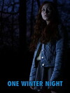 One Winter Night (2019)