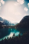 Icinyte (2013)