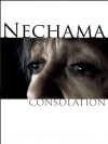 Nechama (2010)
