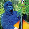 The Adventures of Sass Parilla the Singing Gorilla (2005)