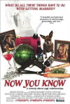 Now You Know (2002)