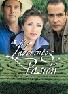 Labyrinths of Passion (1999)